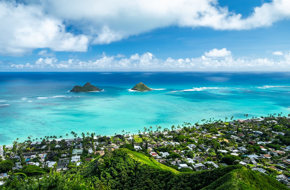Hawaii Fall Season Home Cleaning Office Cleaning Services OAHU AFFORDABLE HOME CLEANING PROFESSIONALS Deep Cleaning Move-In Cleaning Move-Out Cleaning Airbnb Rentals Cleaning Vacation Rental Cleaning Residential Cleaning Commercial Cleaning Eco-Friendly Cleaning Solutions 808-650-7344