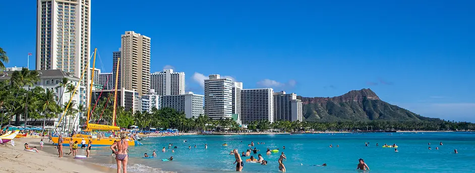 WAIKIKI 96815 Stacey's Window Screen Replacement Company Oahu Island Hawaii.webp