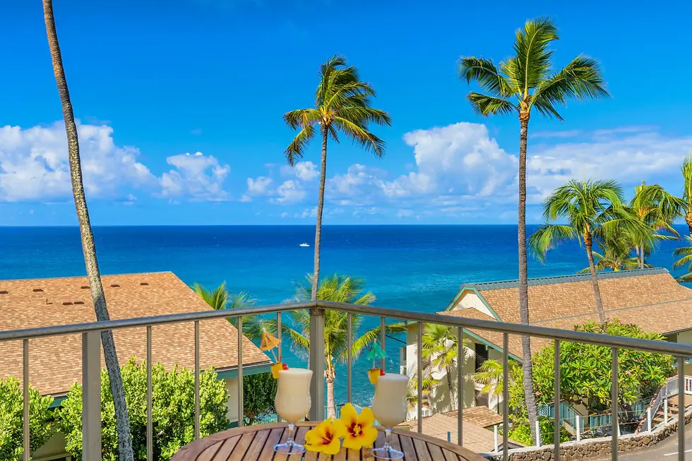 ELEELE 96705 KAUAI Island Screen Specialists Expert Window Screen and Sliding Door Screen Services Repair and Replacement Ask for Robert Island Wide Mobile