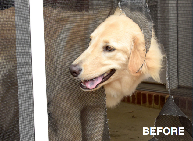 BEFORE PHOTO of Door Screen. Holoholo Screens OAHU Window & Door Screen Replacement and Custom Patio Enclosures. Authorized Dealer of Phifer PetScreen® near Honolulu, Waipahu, Waikiki, Aiea, Ewa Beach, Kapolei, Pearl City, Maui, Big Island. Call 808-374-5433