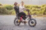 ariel_rider_grizzly_stock_3.webp