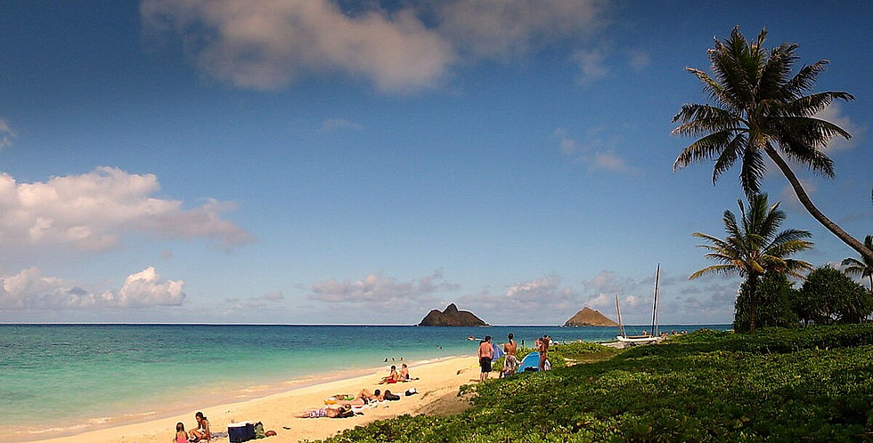 LANIKAI BEACH 96734 OAHU Women's Health and Wellness Acupuncture Treatment for Autoimmune Diseases Honolulu Licensed Acupuncturist Dr. Annie Yang 杨 OAHU Acupuncture Clinic Traditional Chinese Medicine