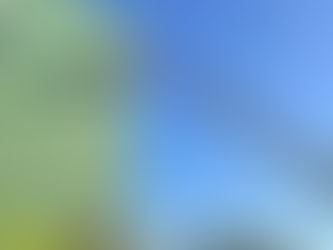 OC Vibe ANAHEIM 92806 6-Story Exterior Hand-Painted Wall Murals SMART ALEX HAND-PAINTED SIGNS COMPANY Los Angeles Sign Artist Alex Kurakake Orange County Storefront Hand-Painted Signs Southern California Sign Painting Workshops