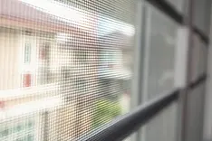 Window screens.webp