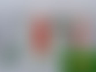 LAND ROVER Spark Plugs Routine Maintenance The Essential Role of Spark Plugs in Bringing Igniting Performance on your Land Rover Vehicles LOS ANGELES Independent Land Rover Service Center Expert Land Rover - Range Rover Service Technicians High-Quality Genuine OEM Parts for ALL LAND ROVERS and RANGE ROVERS Southern California