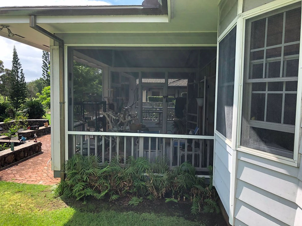Adding Custom Patio Enclosures and Security Screen Porch HoloHolo Screens Honolulu Window and Door Screen Replacement CRIMSAFE Security Doors Authorized Dealer  Serving Honolulu, Waimānalo, Kailua, Aiea, Pearl City, Waianae, Kaneohe, Haleiwa in Oahu, Hawaii.