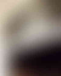 BURNOUT Vintage Belmont Shore 4804 2nd St. Long Beach CA 90803 Retail Storefront Hand-Painted Sign Package: Hand-Painted Address Numbers with White Flame Designed Background by Sign Artist Alex Kurakake of Smart Alex Signs - Orange County Hand-Painted Sign Company in Los Angeles, Irvine, Anaheim, Torrance, Tarzana, UCLA. Call 714-515-6205