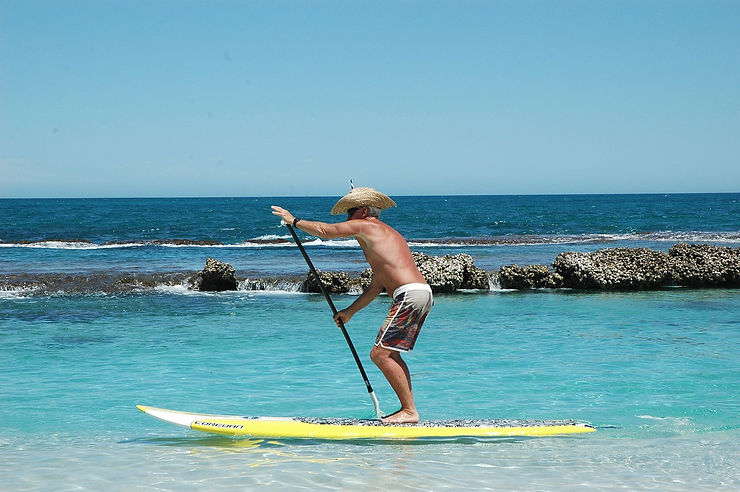 The Best Places to Experience Stand Up Paddleboarding with Maui SUP Rentals - Free Delivery and Pick Up in West Maui. We offer Affordable, High-Quality, and Top SUP Brands on the Market Today. Convenient and Reliable SUP Rental Company. Island's Best Rental Rate Options near Ka'anapali Beach, Kapalua Bay, Kihei, Wailea, Maliko Run, Napili Bay, Makena. 808-353-6621