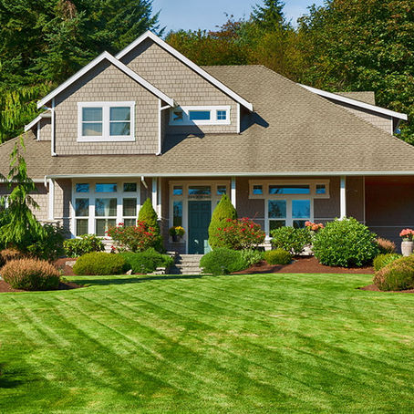 Professional Landscaping Maintenance Services - Expert Lawn Care, Tree Trimming, and Landscape Cleanup for OAKLAND Homes and Businesses by BAY AREA Gardener PUICON GARDENS LANDSCAPE and MAINTENANCE Full-Service Landscaping Maintenance Services Expert Gardener Clean-Up Experts Certified Arborists Northern California Schedule Estimate