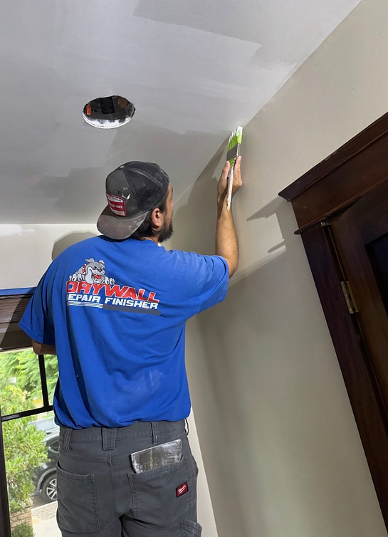 Ceiling Drywall Repair and Replacement Services South Bay C-9 Drywall Contractors