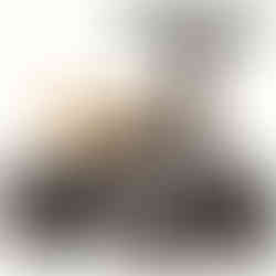 Color: Coyote Cricket 2 Baby Walker Balance Bike (12-24 mos). The ReCYCLIST Bike and Electric Bicycle Shop - Sales, Repair, Maintenance, and Assembly Services. Authorized Dealer of RETROSPEC®. Local E-Bike and Bicycle Shop near West Los Angeles, Santa Monica, Culver City, Marina del Rey, Venice Beach, Playa del Rey, Playa Vista, Westside, UCLA, Venice, 90066. Call 310-878-0965