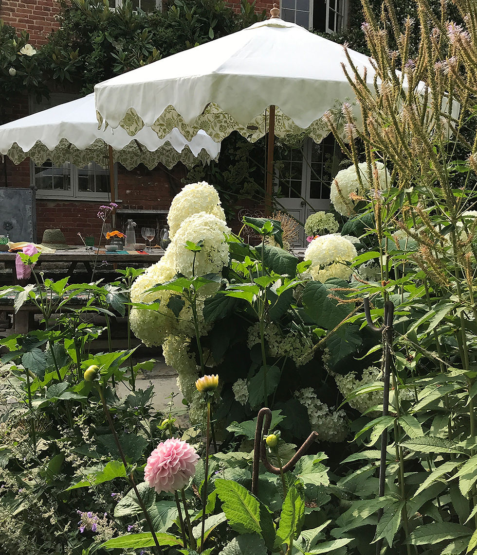 Garden umbrella at Elliscombe House