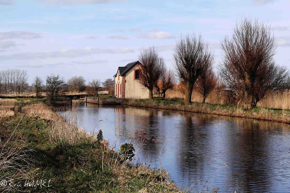 La maison des ormes