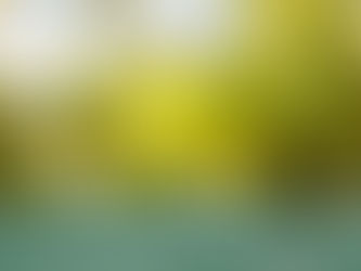 When You Are Settled, the World Becomes Settled: The Universal Journey Home