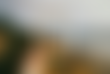 Understanding Epigenetics and Its Impact on Inheritance