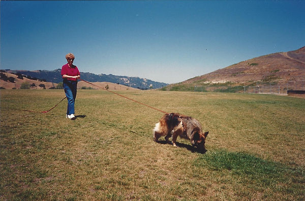 Joan Tracking.jpg