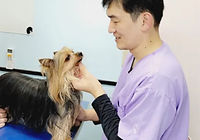 動物看護師 李 玄亨