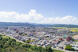  地域に根ざした身近な動物病院