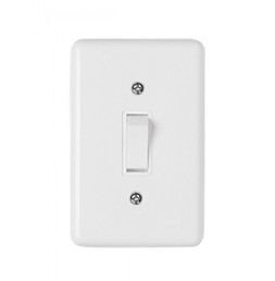 30668-conjunto-interruptor-simples-250v-
