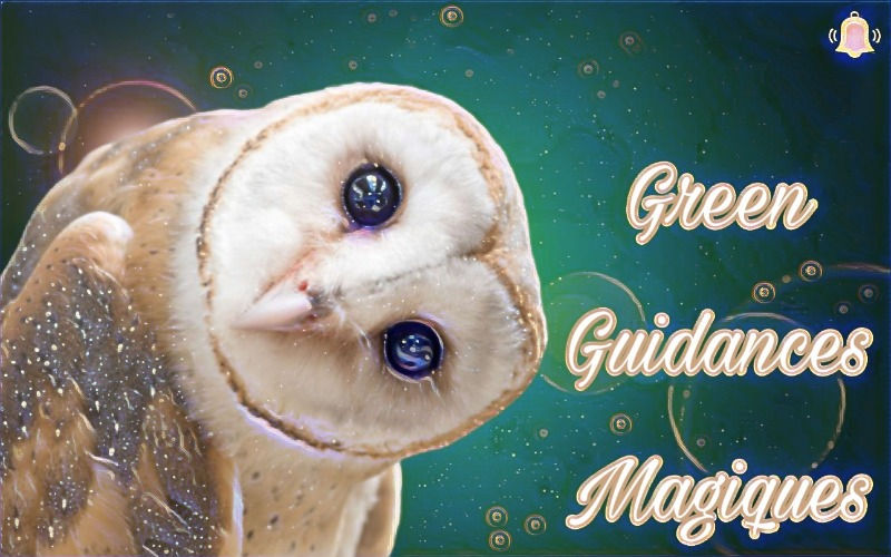 chouette%20greengudance_edited.jpg