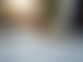 Choosing the Right Insurance Agent for Your Needs