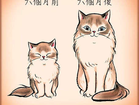 《 媽媽眼中永遠的小孩 》