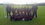 Under 10's Team photo