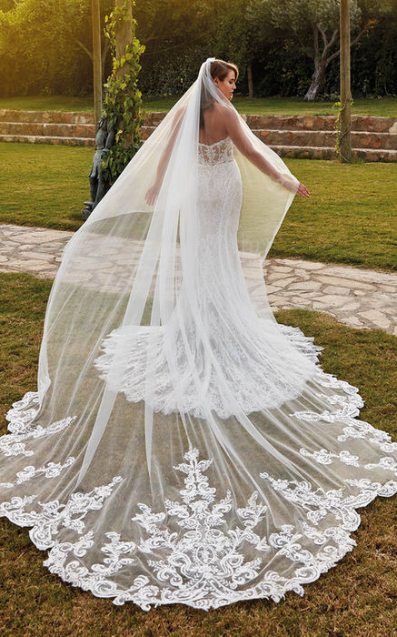 Lace fit-n-flare wedding gown, strapless, sweetheart neckline in garden wedding with matching lace veil