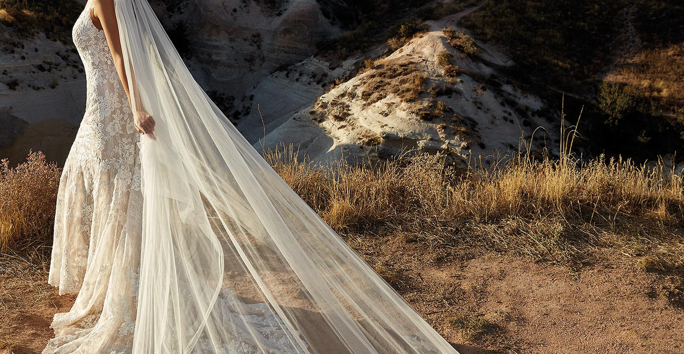 Bridal ivory lace over tulle cathedral veil with wedding dress