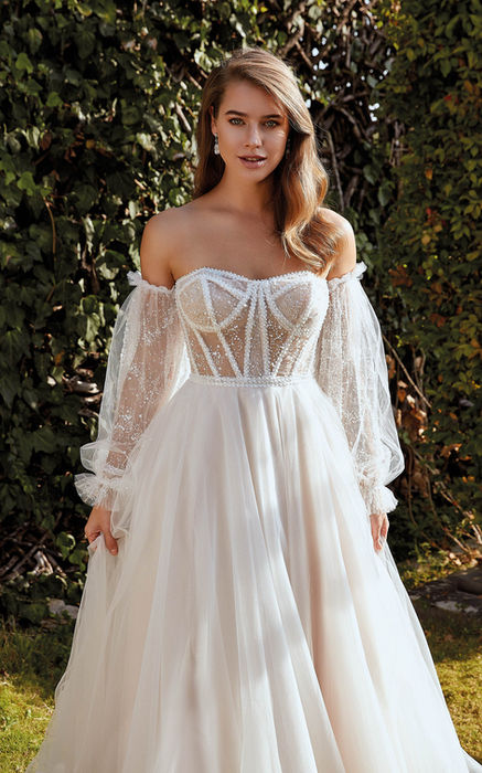 Wedding dress ballgown with beaded lace, transparent bodice, beaded off shoulder bishop sleeves in garden wedding
