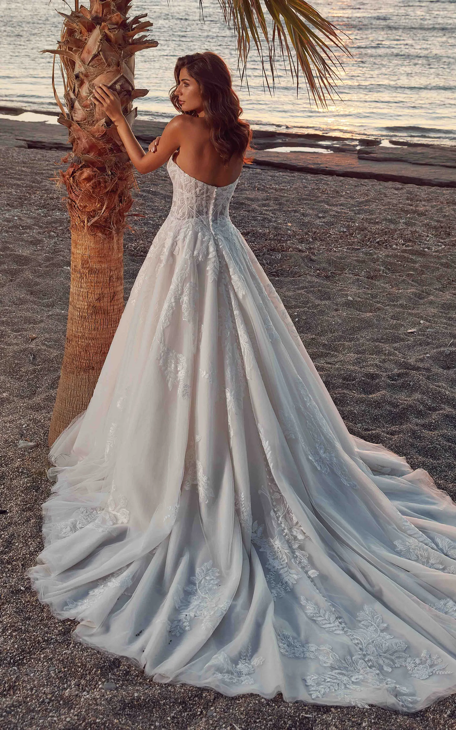 2026 Dreams Fall Release Collection