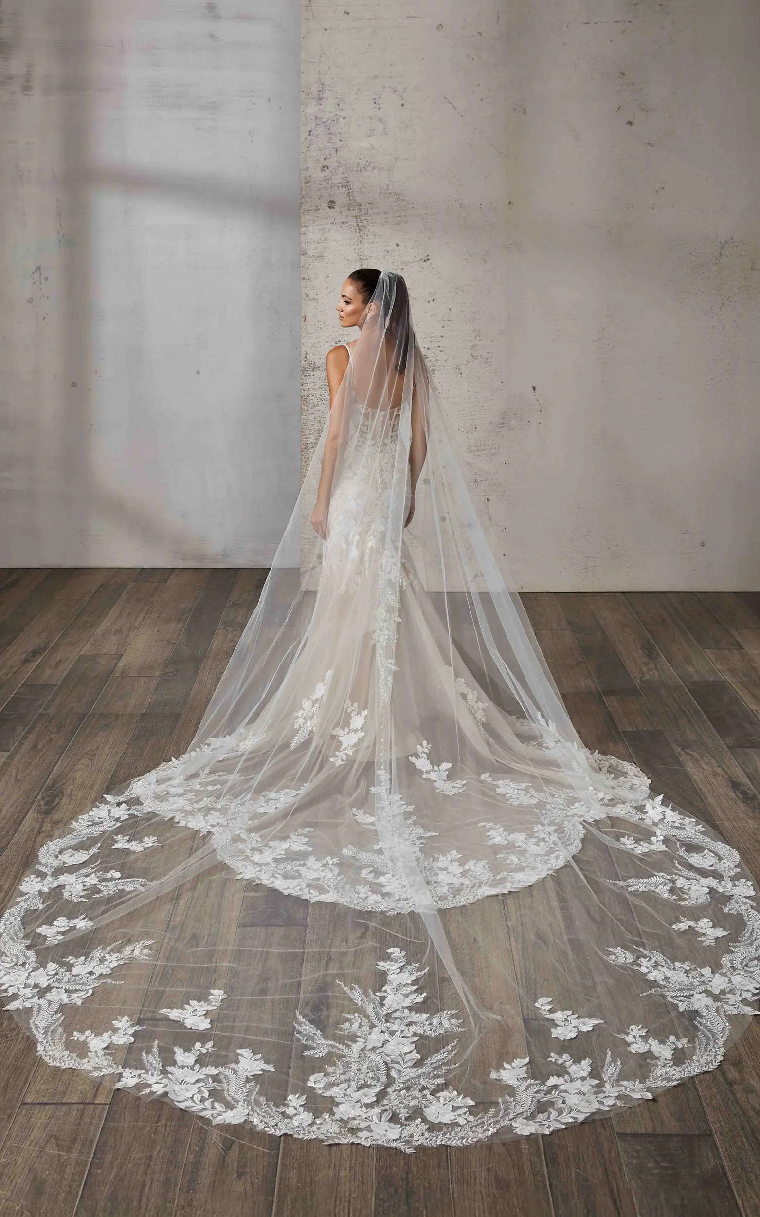 2026 Dreams Collection