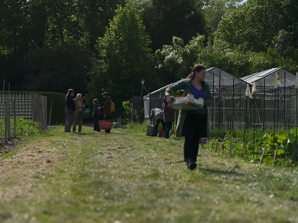 imgi_3_community-garden-volunteers.webp