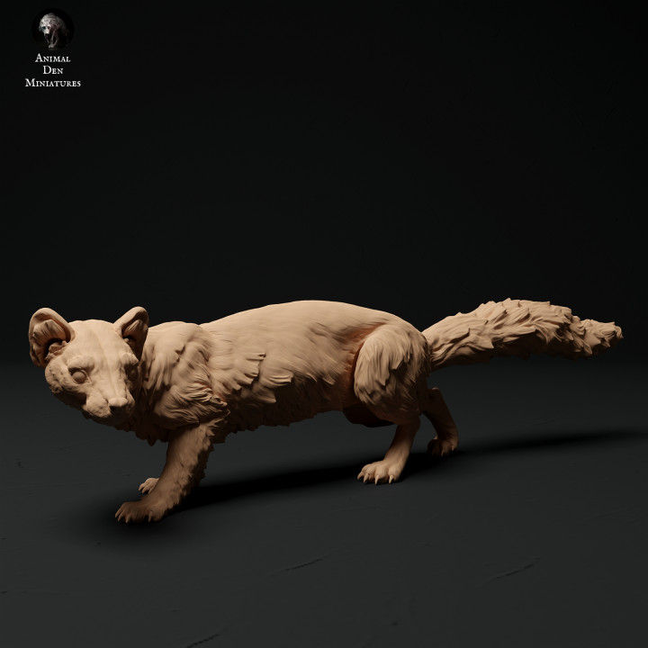 Miniaturbild: Baummarder