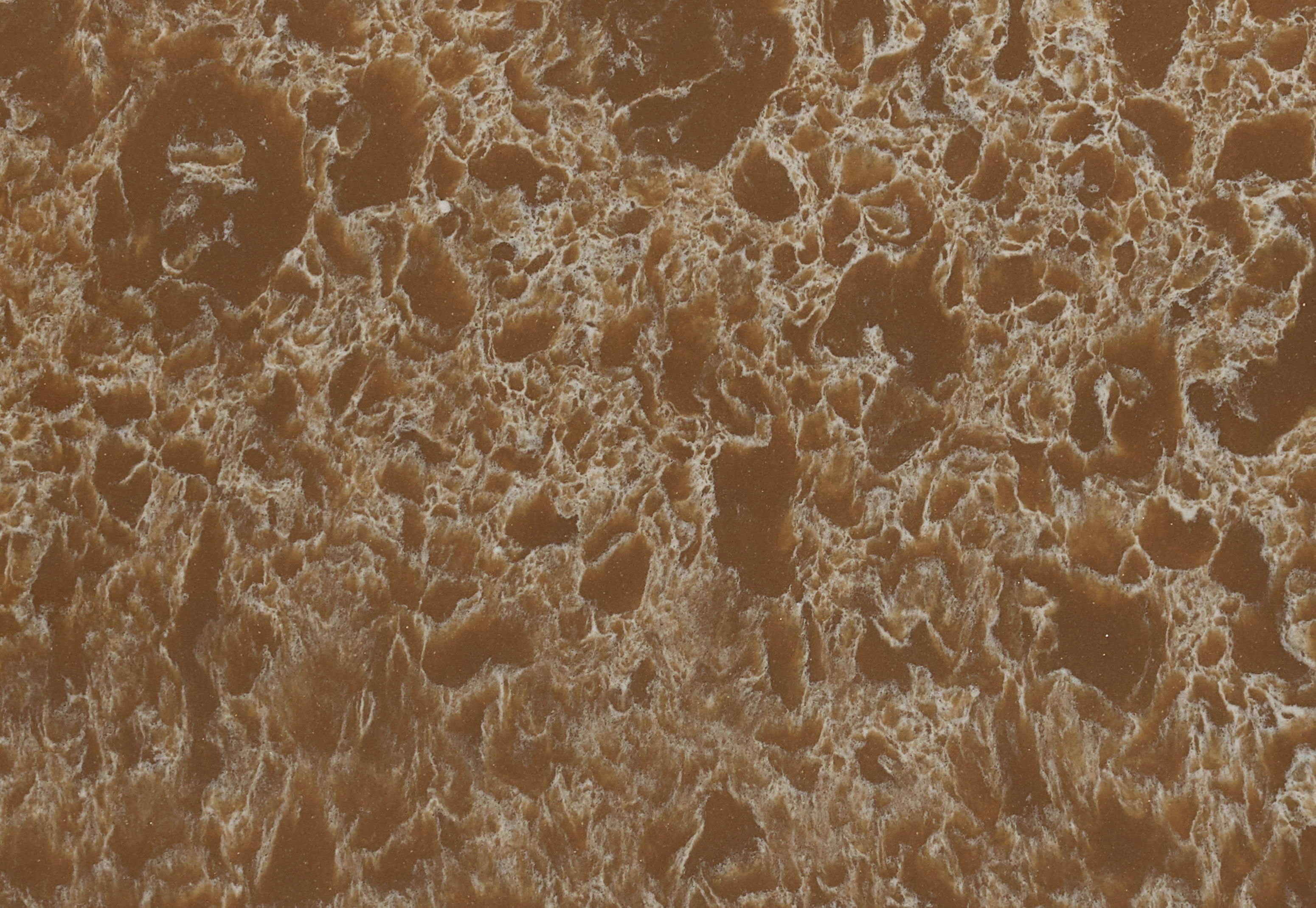 Cambria New Brighton