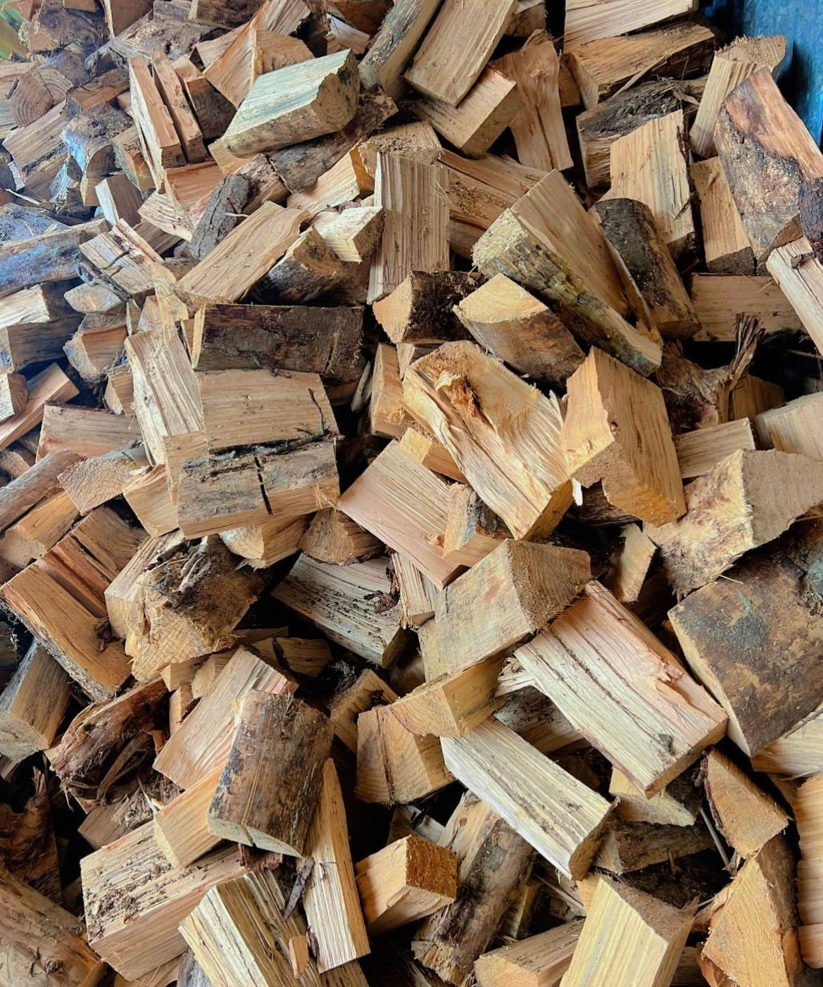 Green pine