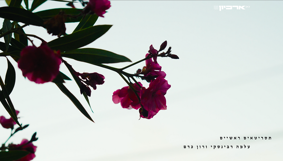 צילום מסך 2026-08-10 ב-14.15.40.png