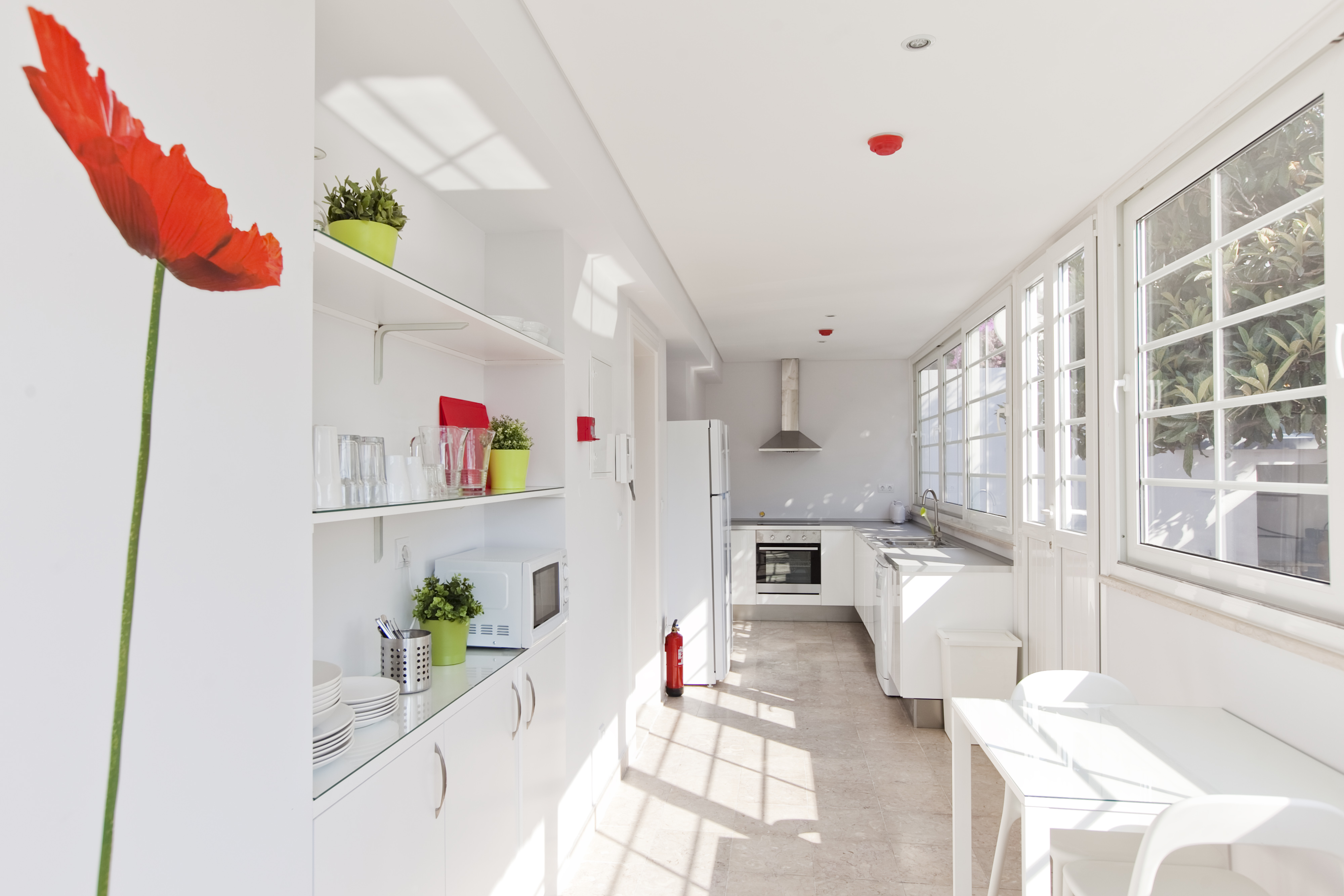 TE - Cozinha.Kitchen - Foto 1.JPG