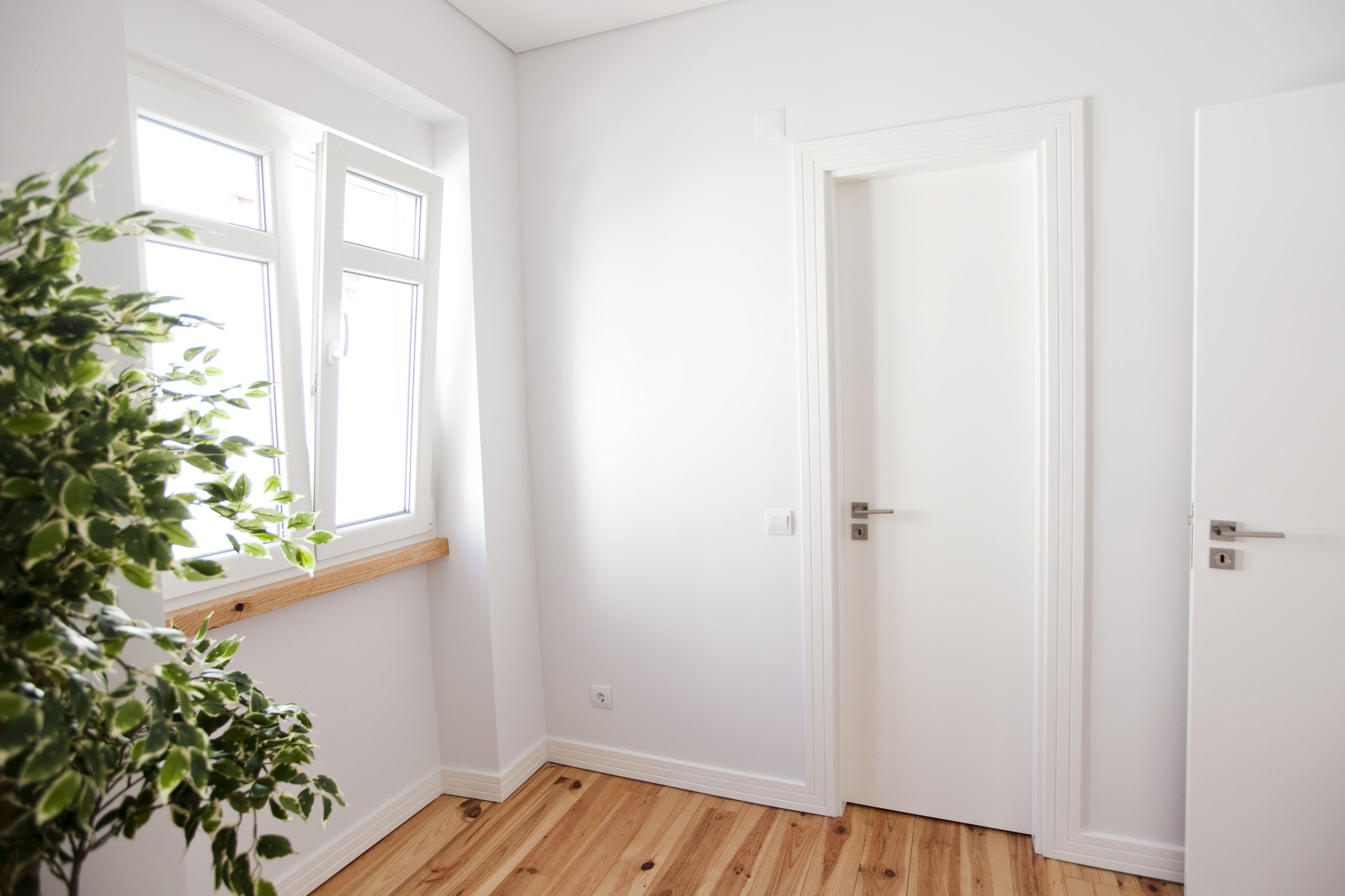 TE - Room 2 - Foto 7__.JPG