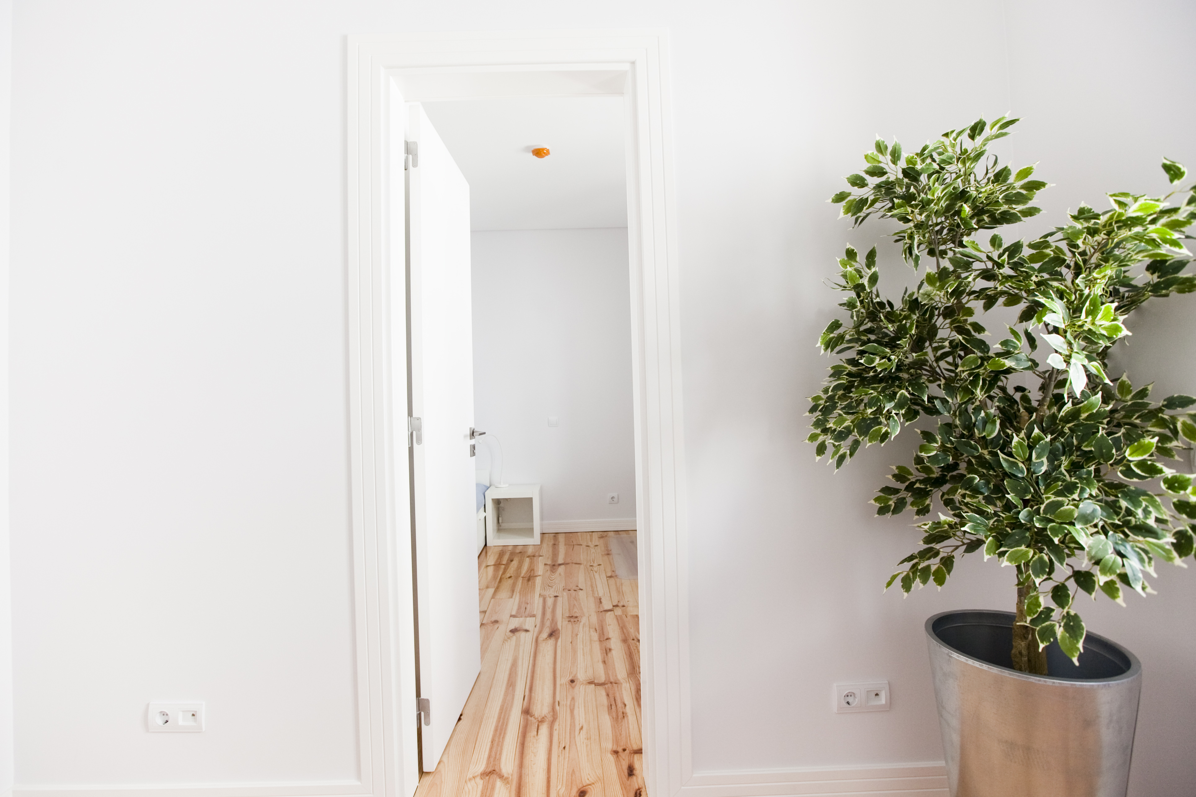 TE - Room 2 - Foto 9_.JPG