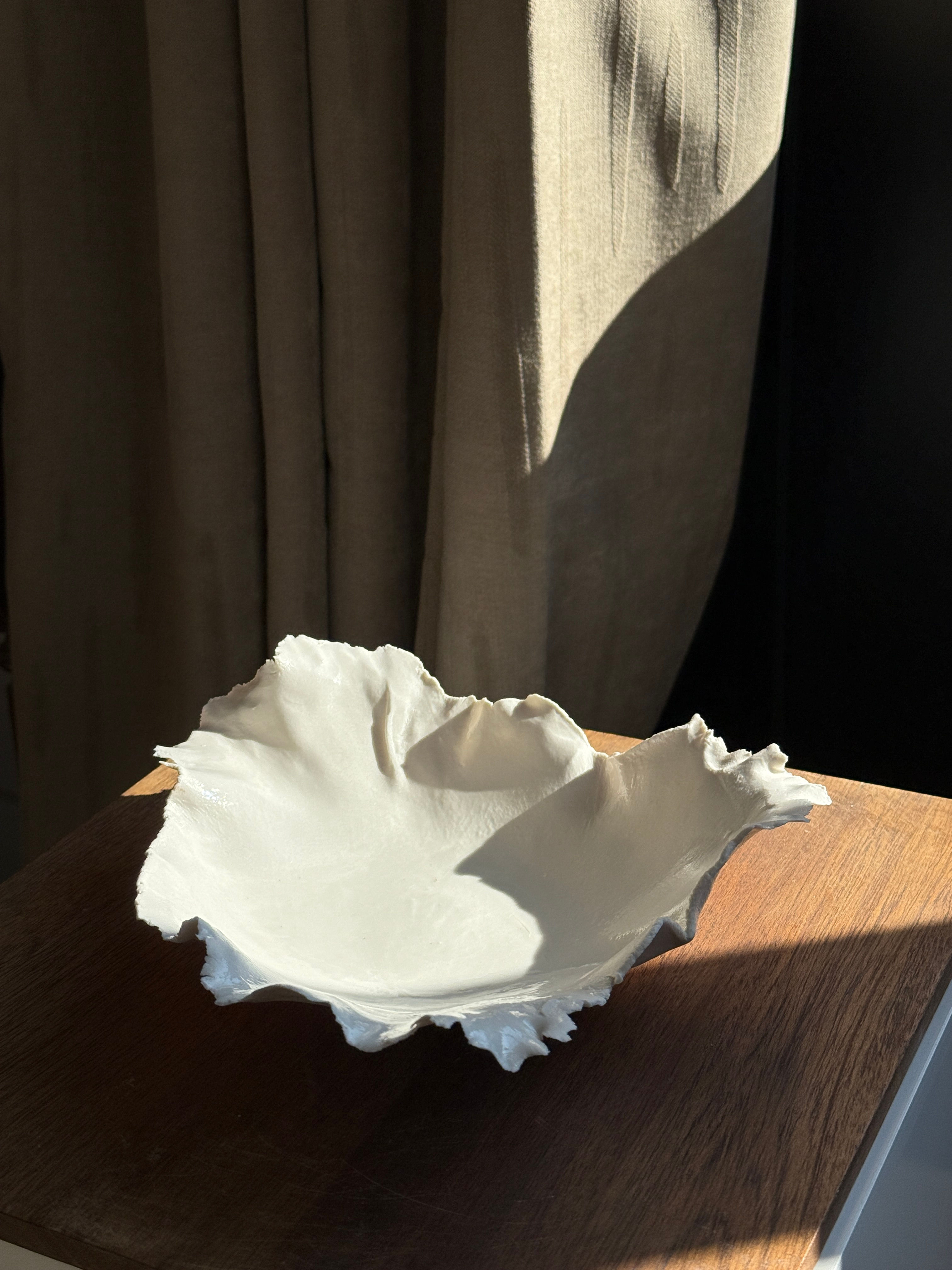 Plat en porcelaine évasé