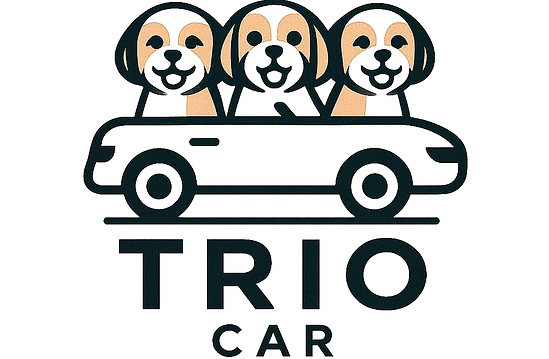 40E5B04F-4063-46C4-A733-F749BA55D82E_edi