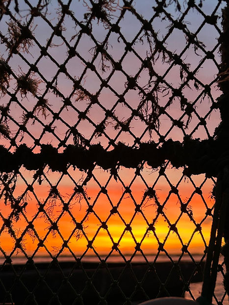 WhatsApp Image 2026-01-02 at 16.24.08 (1).jpeg