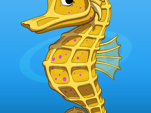 Sandy Pants Seahorse concept