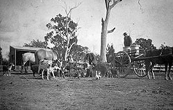 Heyfield-Region-History---Early-Settlers