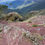 Thumbnail: Victorian High Country | 2025 The Wonnangatta