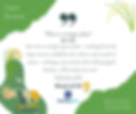 Baksaei-Retreat-reviews-5.jpg