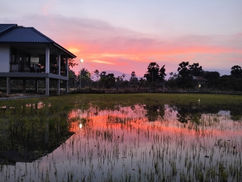 Boutique hotel in Kampot set amongst ricefields with private pool villas