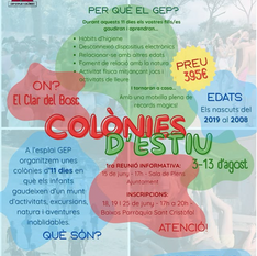 Colònies d'estiu