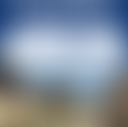 CASA DE COLÒNIES 2026